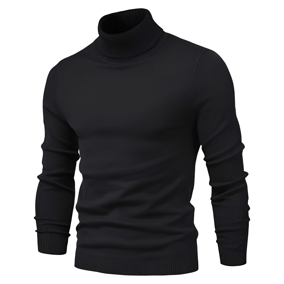Darvin - Warm turtleneck sweater for men