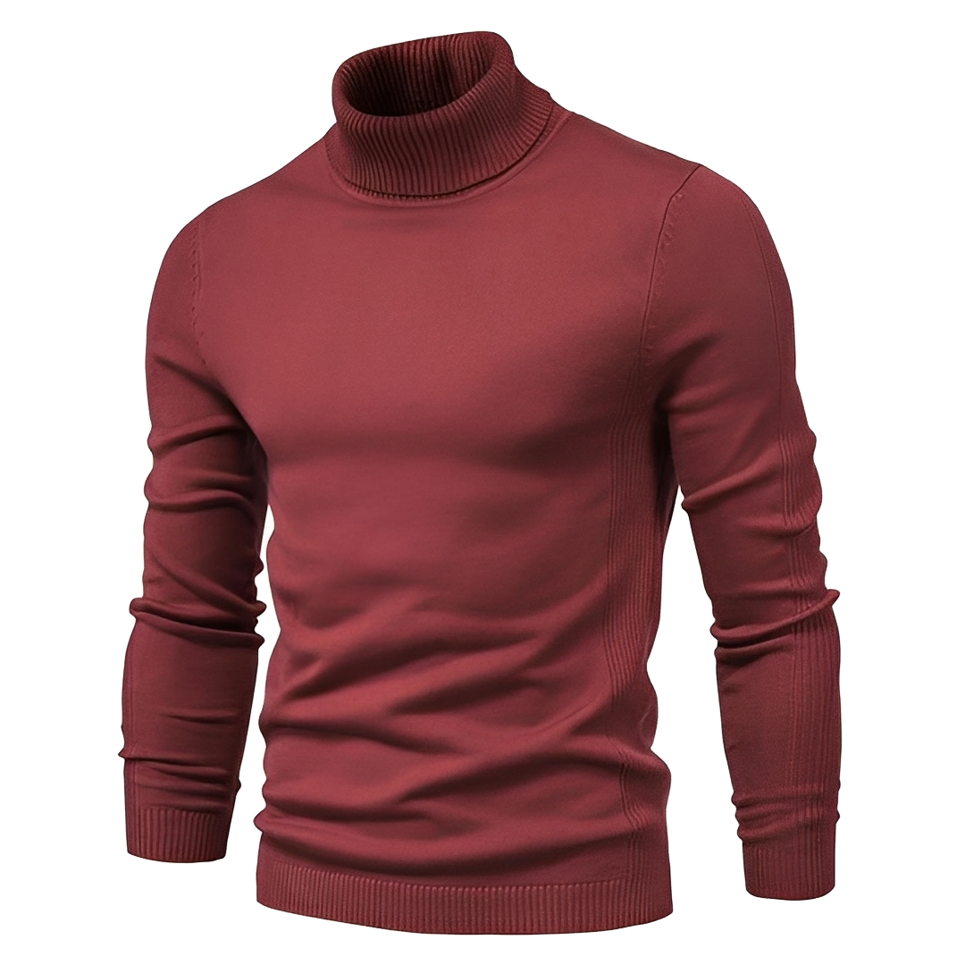 Darvin - Warm turtleneck sweater for men
