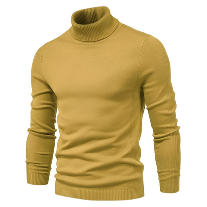 Darvin - Warm turtleneck sweater for men